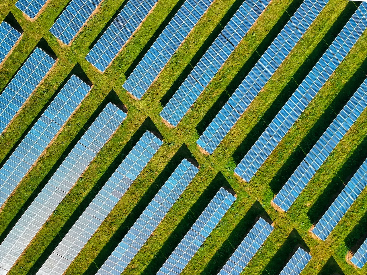 Wie viel Pacht für Ackerland Aktuelle Pachtpreise 2024 FlächenMakler