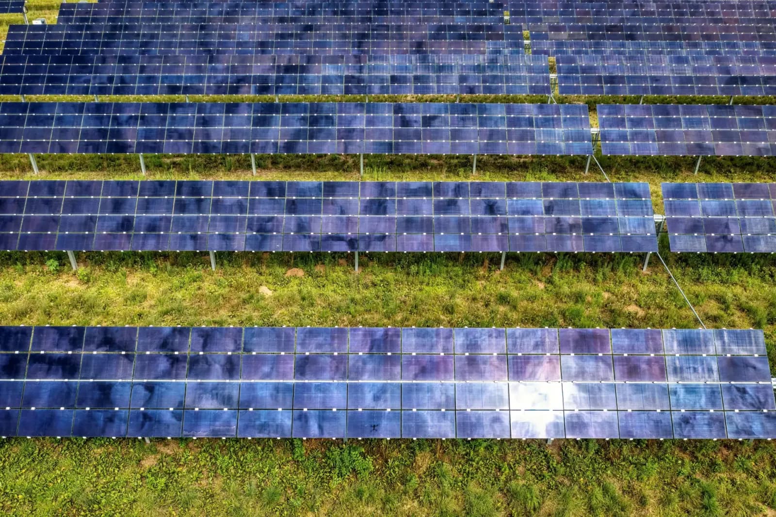 Solarpark auf einer Freifläche zur Verpachtung von Land für Photovoltaik