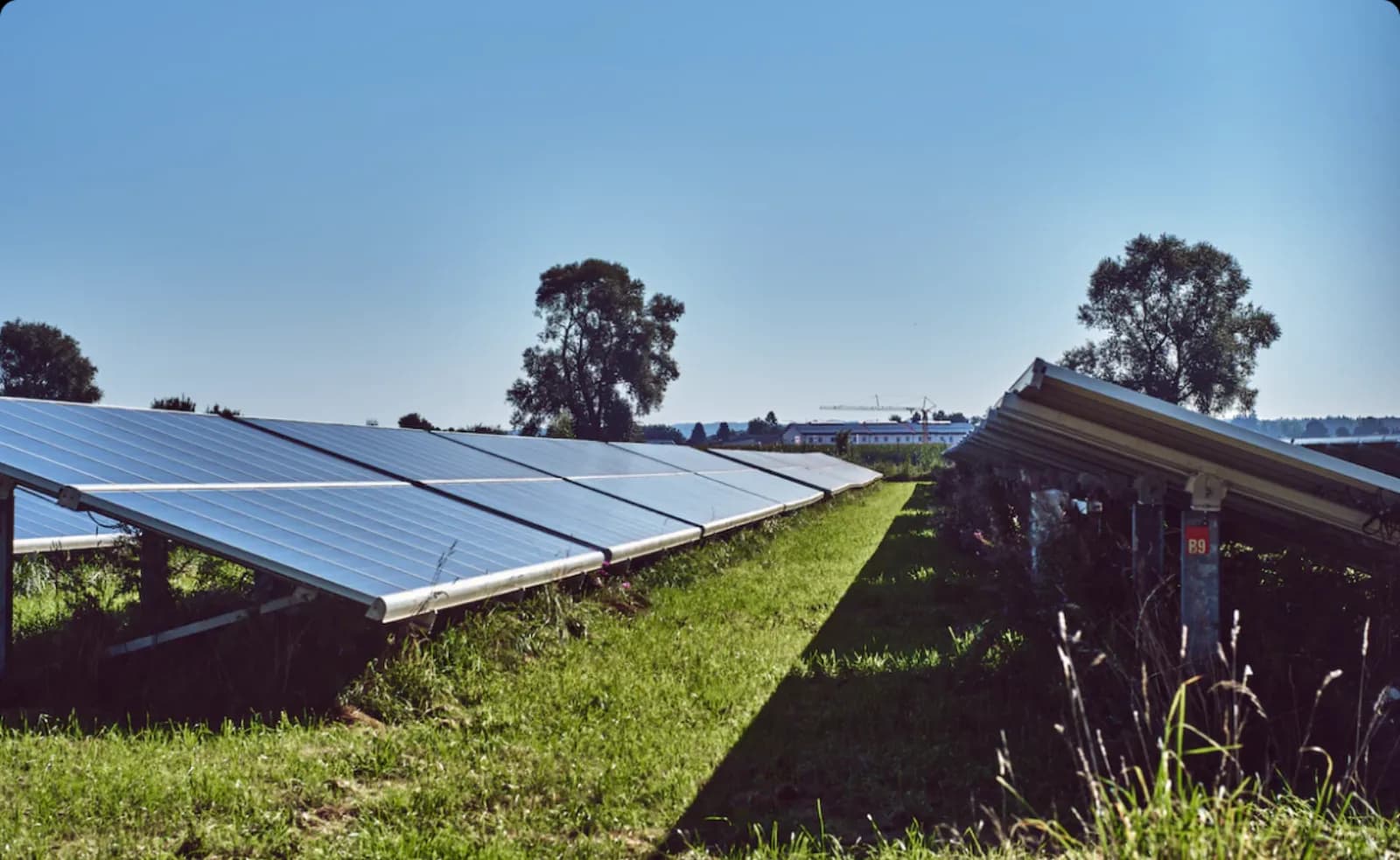 Grünland und Weideland mit aktuellen Pachtpreisen nach Bundesland in Deutschland