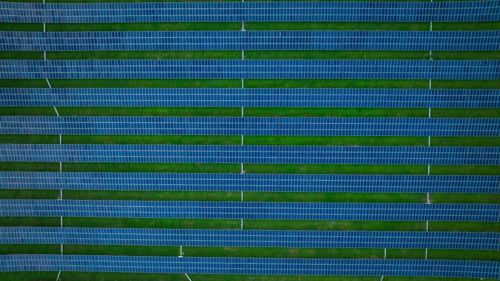 Solarpark auf einer Freifläche mit Photovoltaik-Modulen und Pachtpreisübersicht